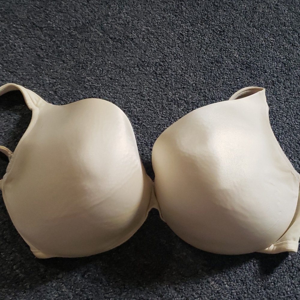 Cacique padded 38H bra